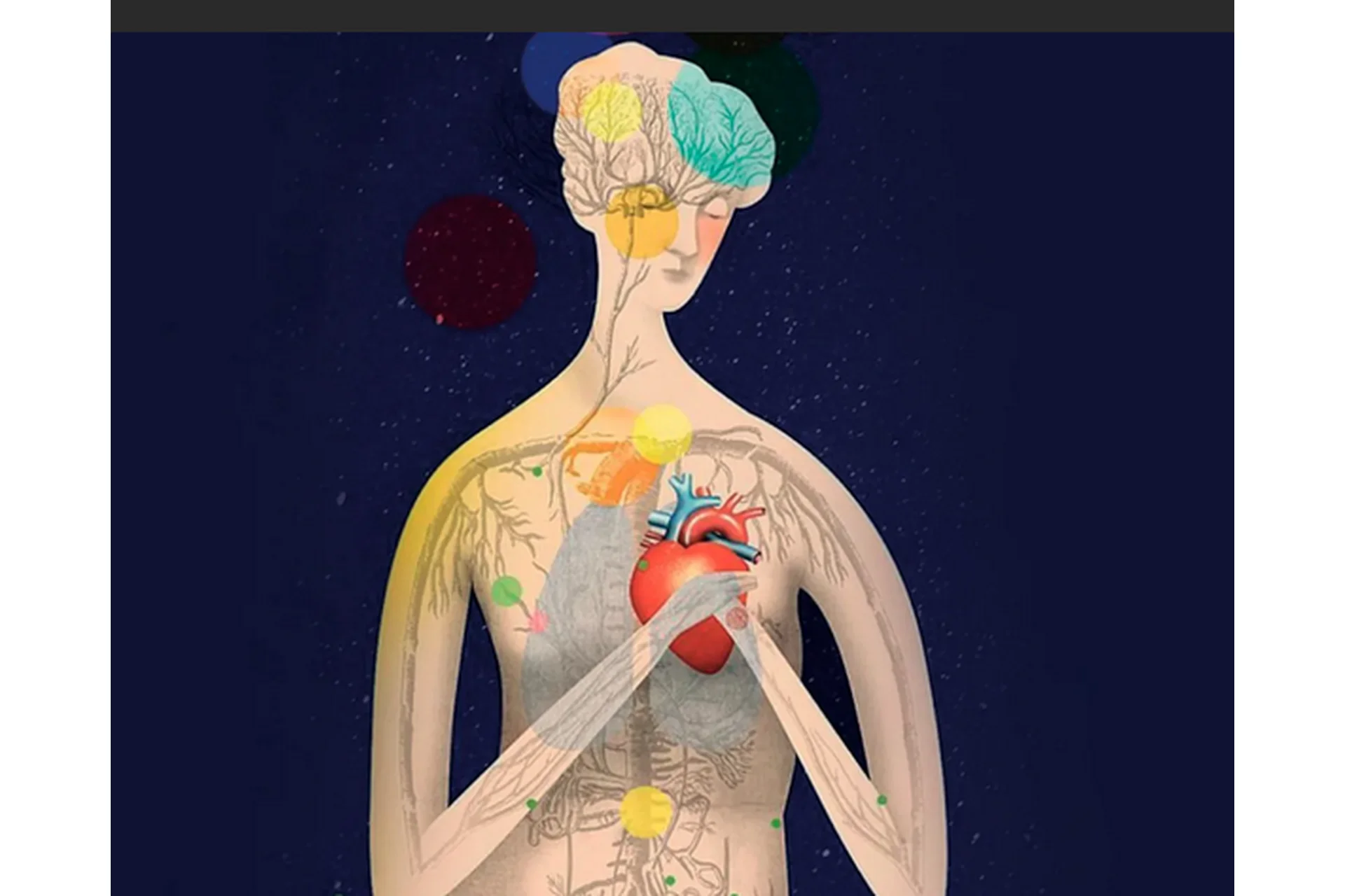 Психосоматика: от симптомов к смыслу (Антон Ежов), фото 1 из 1.