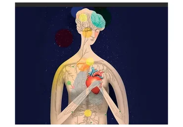 Психосоматика: от симптомов к смыслу (Антон Ежов)