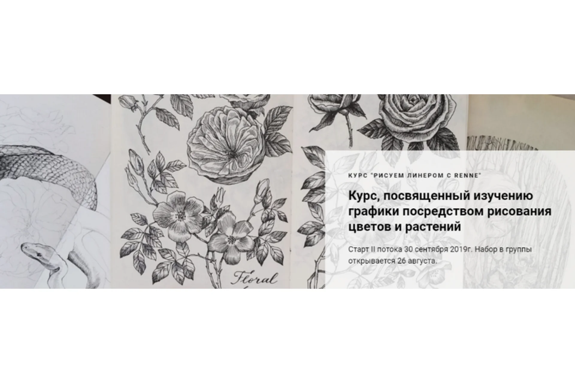 [Renne Studio] Рисуем линером  с Renne. 2 поток (Валерия Пичугина), фото 1 из 1.