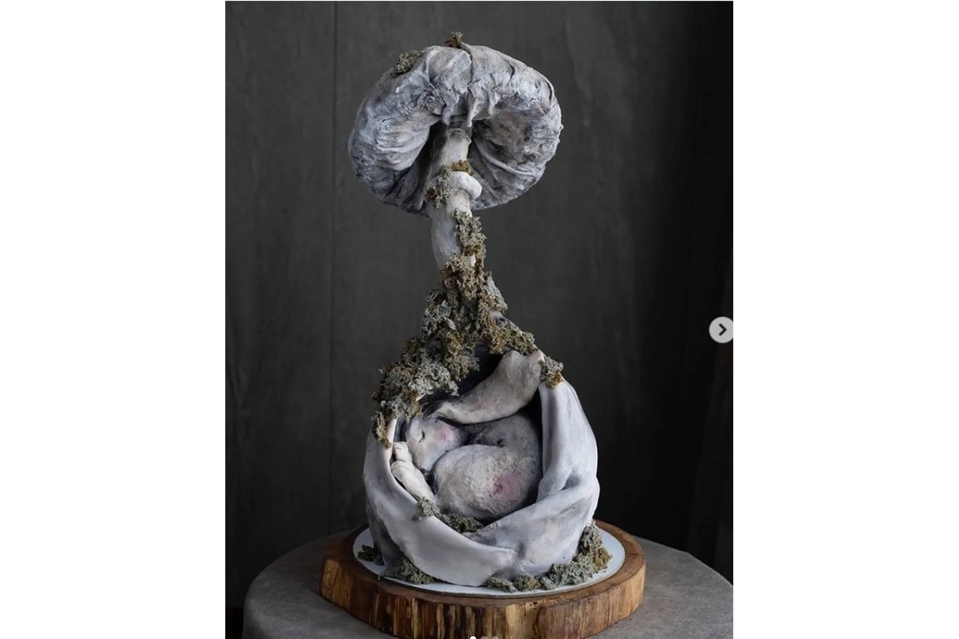 Видеоурок по оформлению торта «Кролик в норе» (Анна Сухова), фото 1 из 1.