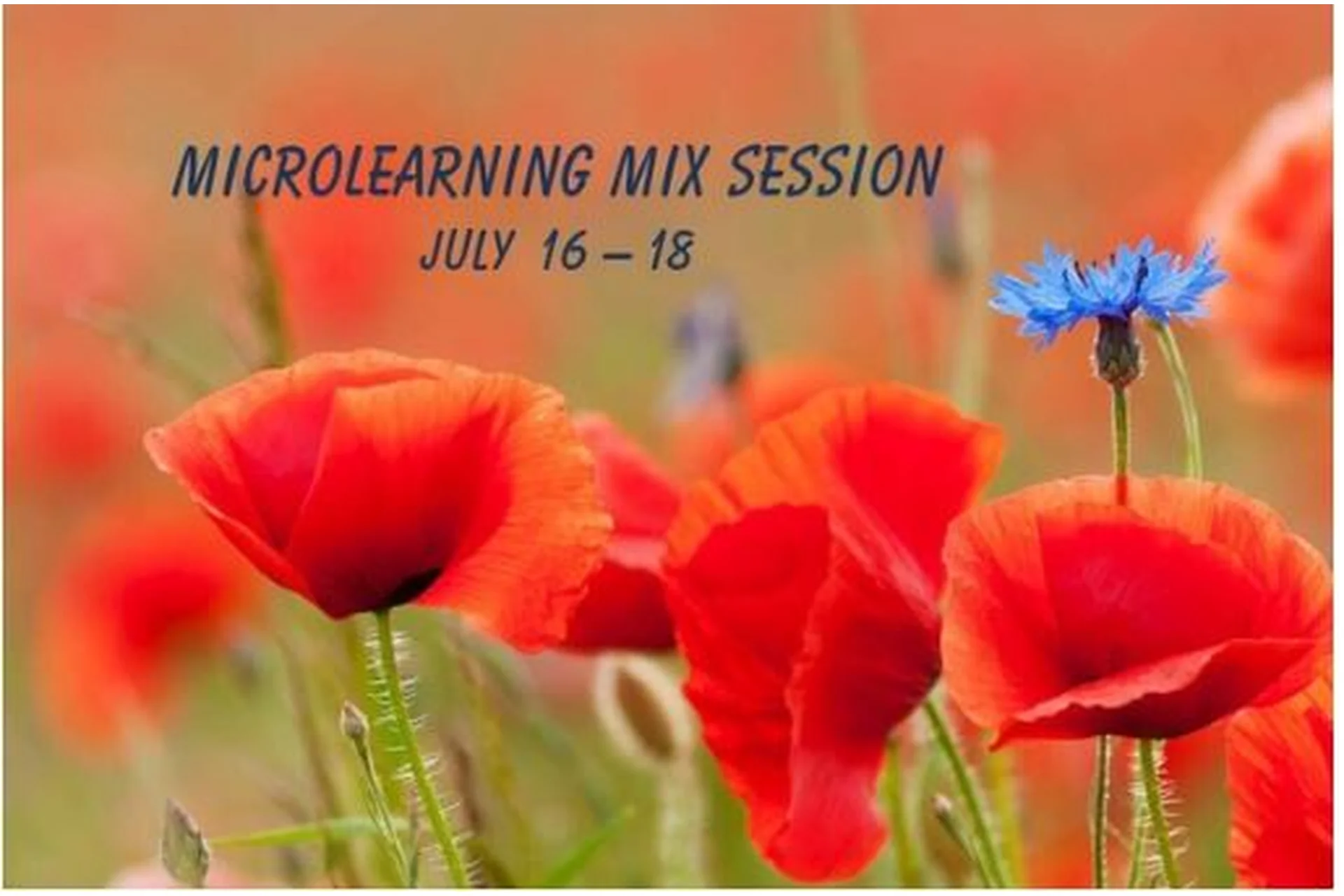 Microlearning mix session (Ольга Филатова), фото 1 из 1.