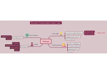 Система запуска ателье с нуля (Евгения Петрик)