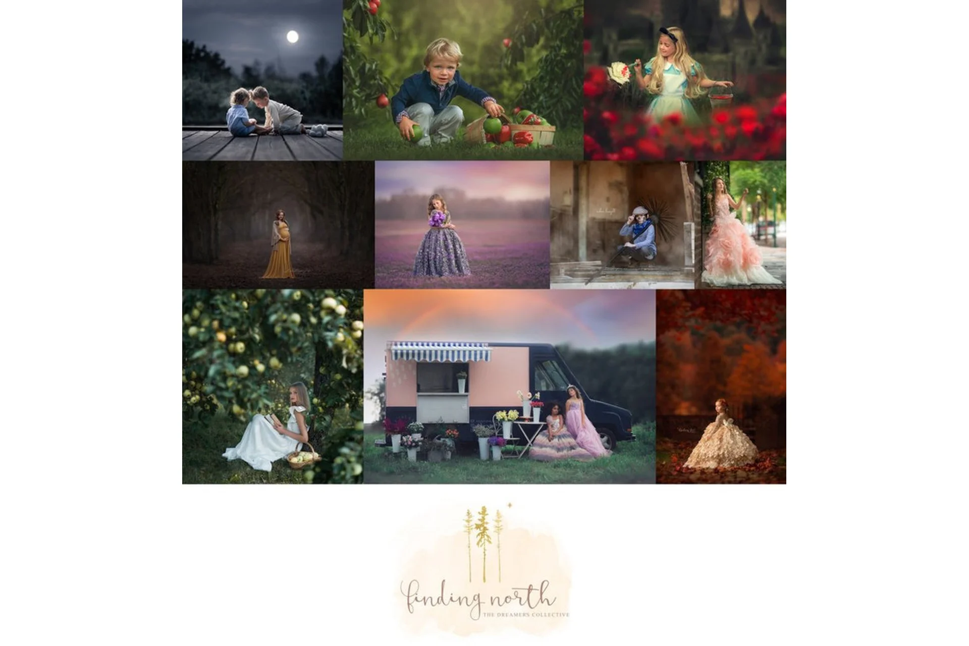 [LemonMade] Finding North Video Collection Volume IV, фото 1 из 1.