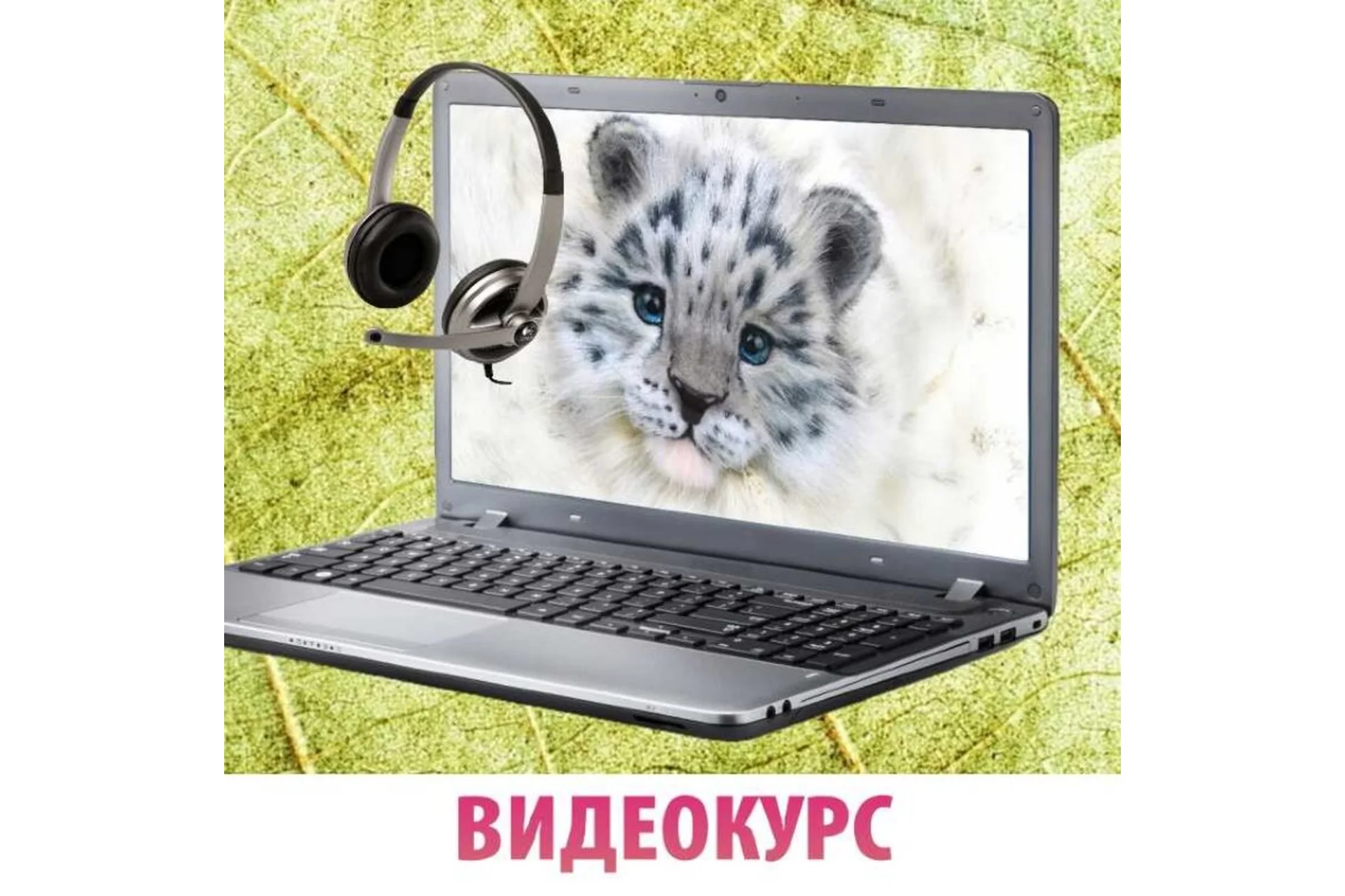 Оформление мордочки игрушки на примере снежного барсика + МК Тедди со Скелетом (Анастасия Аржаева), фото 1 из 1.