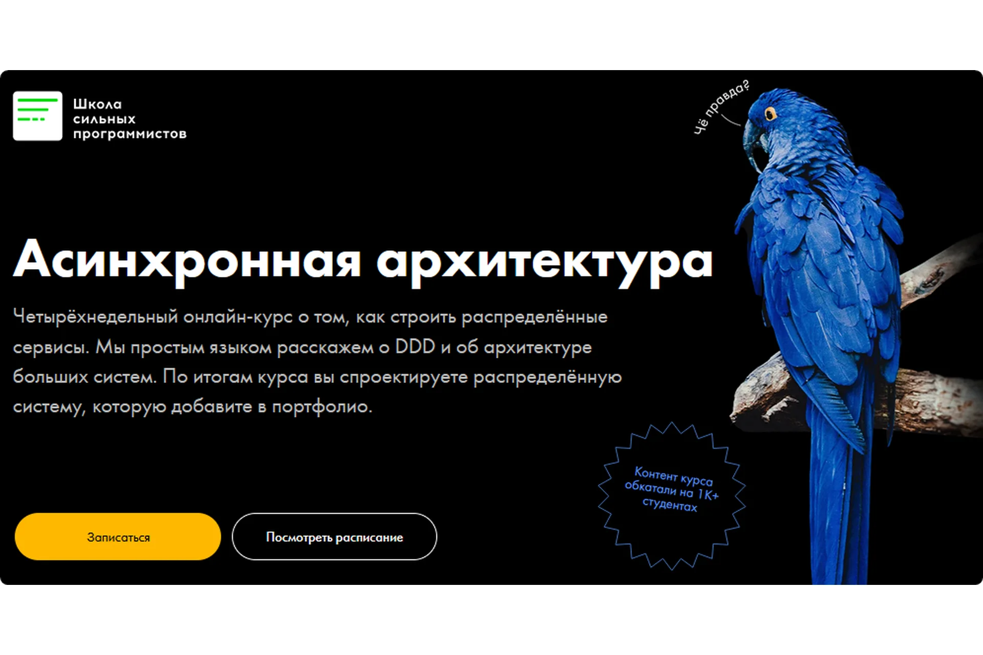 [Школа сильных программистов] Асинхронная архитектура. Тариф «Я сам» (Фёдор Борщёв, Антон Давыдов), фото 1 из 1.