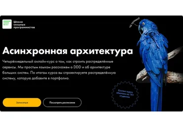 [Школа сильных программистов] Асинхронная архитектура. Тариф «Я сам» (Фёдор Борщёв, Антон Давыдов)