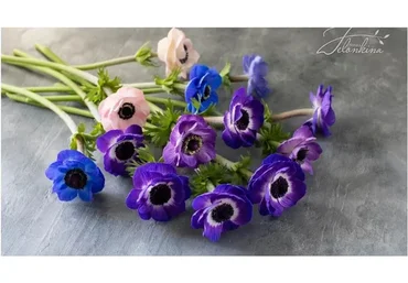 Анемон из холодного фарфора (Наталья Желонкина)