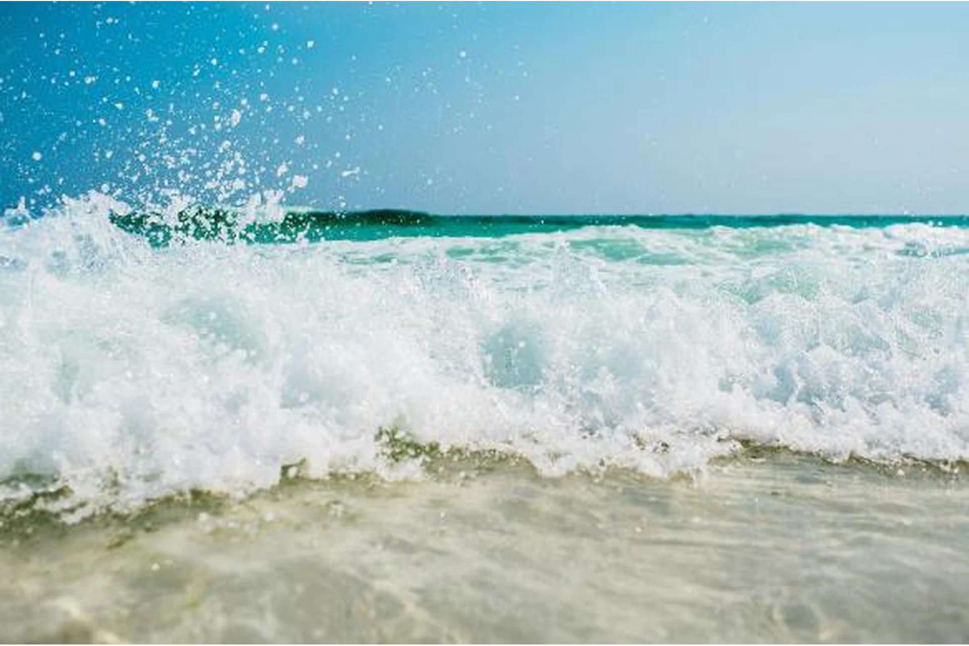 Океан трафика. Пакет Самостоятельный (Сергей Бушмакин), фото 1 из 1.