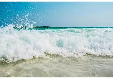 Океан трафика. Пакет Самостоятельный (Сергей Бушмакин)