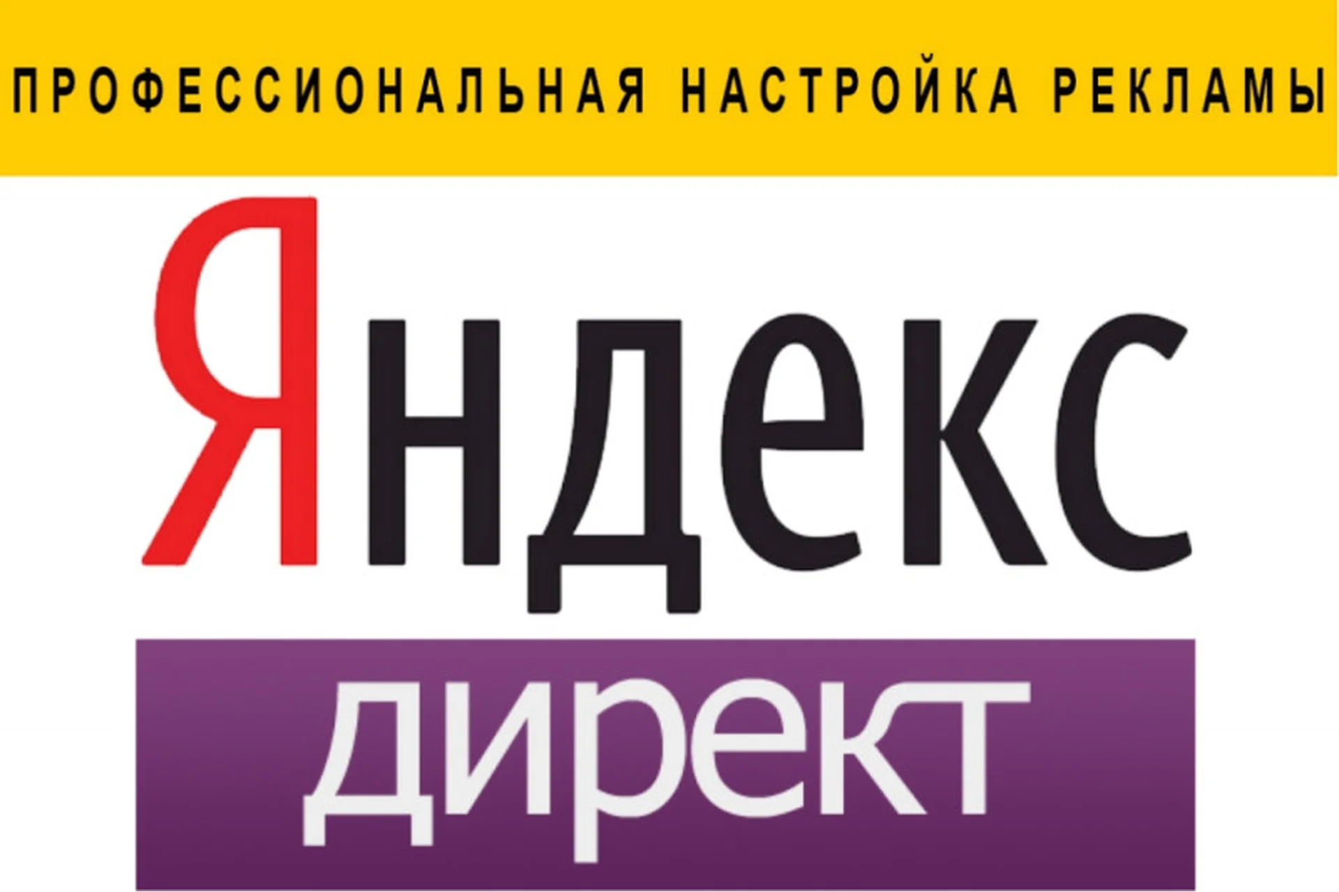 Профессиональная настройка Яндекс.Директ, 2016 (Нелли Давыдова), фото 1 из 1.