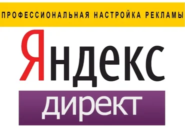 Профессиональная настройка Яндекс.Директ, 2016 (Нелли Давыдова)