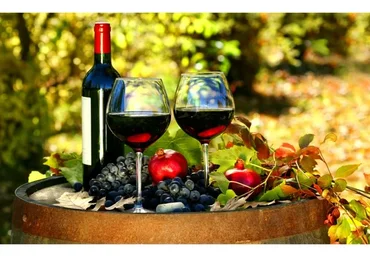 [Udemy] Этикет винный (Светлана Попова)