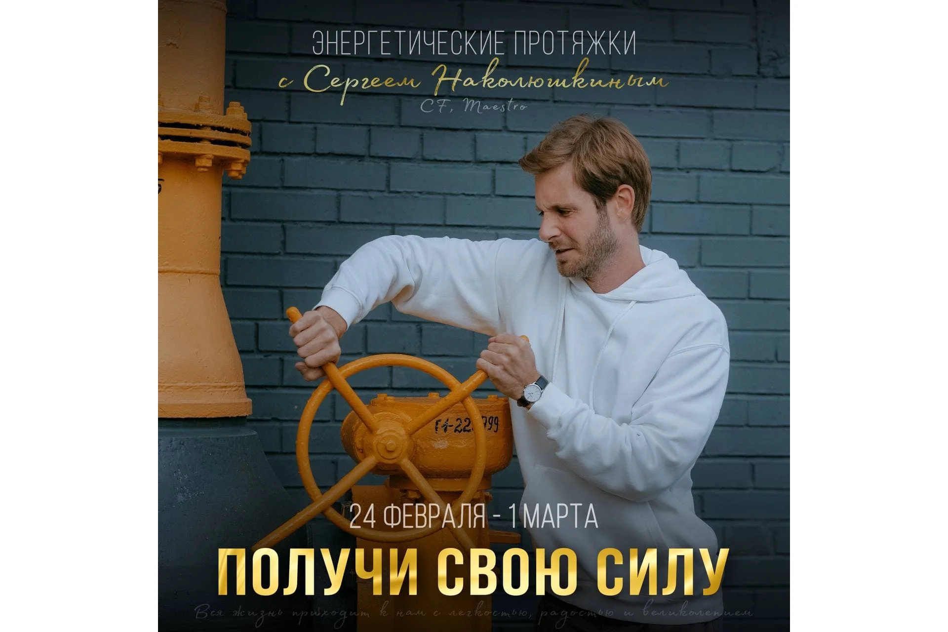 [Access] Энергетические протяжки «Получить свою силу» (Сергей Наколюшкин), фото 1 из 1.