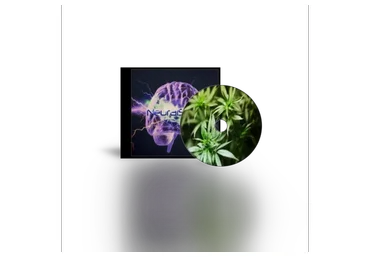 [NeuralSync] Cannabis. Звуковая имитация