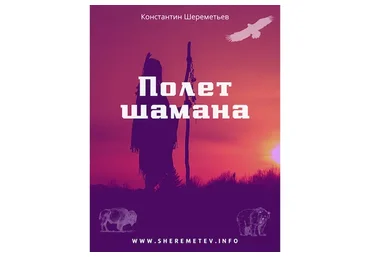 Полет шамана. Комплект Базовый (Константин Шереметьев)