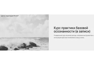 Практика базовой осознанности. Лайт (Виктор Ширяев)