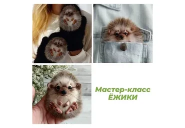 Варежки и брошь Ёжики (Марина Грубер)