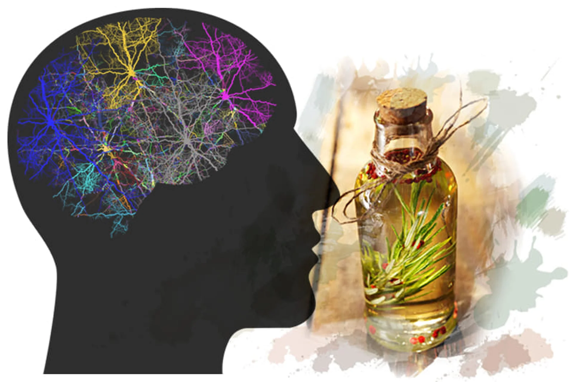 [Центр Шерома] Как выйти из сети пассивного режима мозга с помощью Ароматерапии (Ульвия Голденбрук), фото 1 из 1.