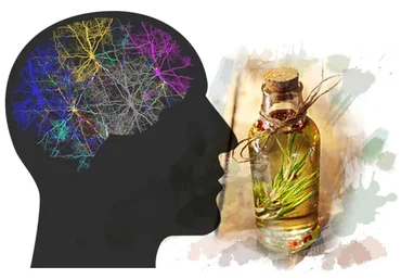 [Центр Шерома] Как выйти из сети пассивного режима мозга с помощью Ароматерапии (Ульвия Голденбрук)