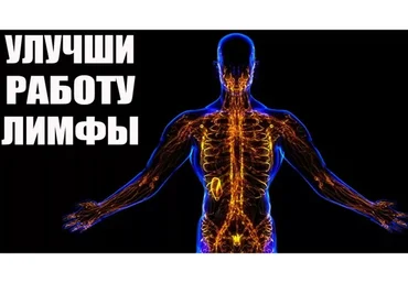 Лимфатическая система. Очищение и омоложение всего организма (Дмитрий Иншаков)
