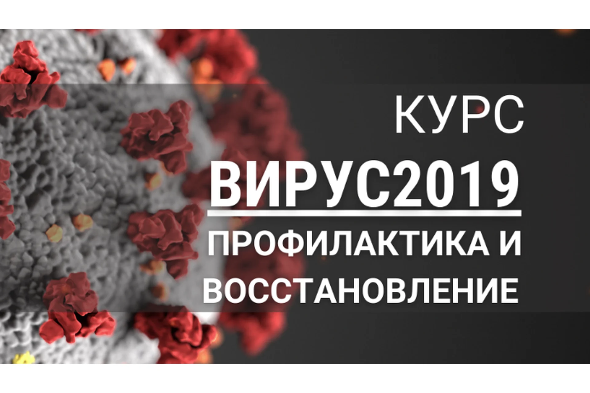 [7koschool] Вирус 2019 профилактика и восстановление (Анастасия Семко), фото 1 из 1.