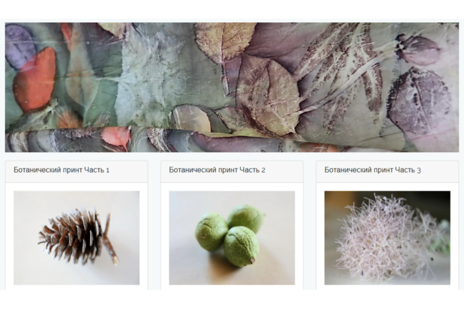 Ботанический принт в трех частях (Ольга Алонсо), фото 1 из 1.