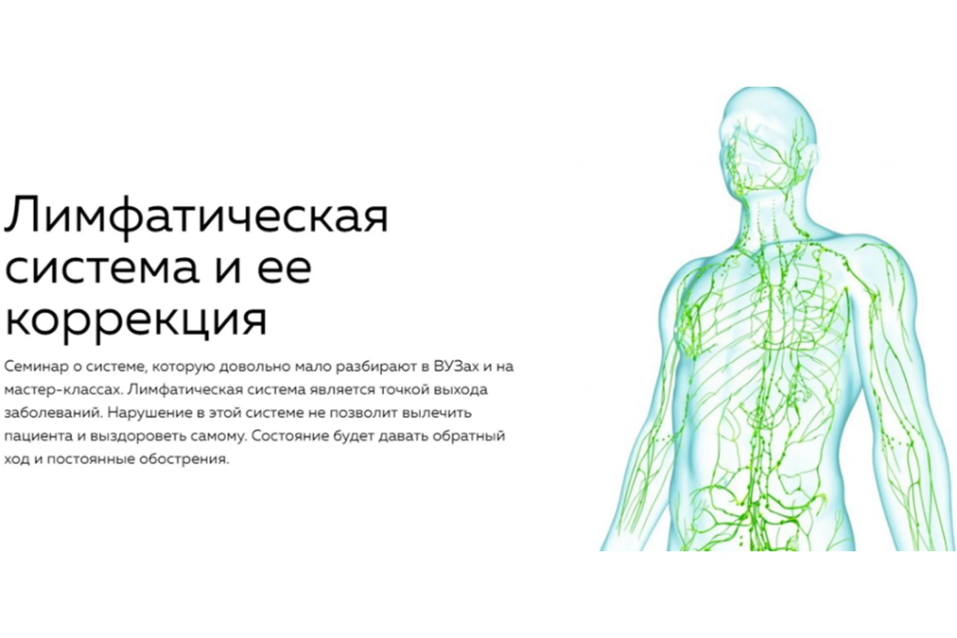 [Nl-School] Лимфатическая система и ее коррекция (Кирилл Копыльцов), фото 1 из 1.