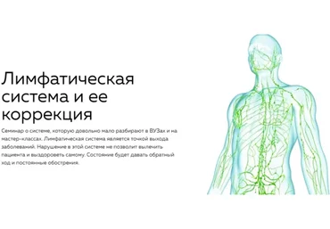 [Nl-School] Лимфатическая система и ее коррекция (Кирилл Копыльцов)