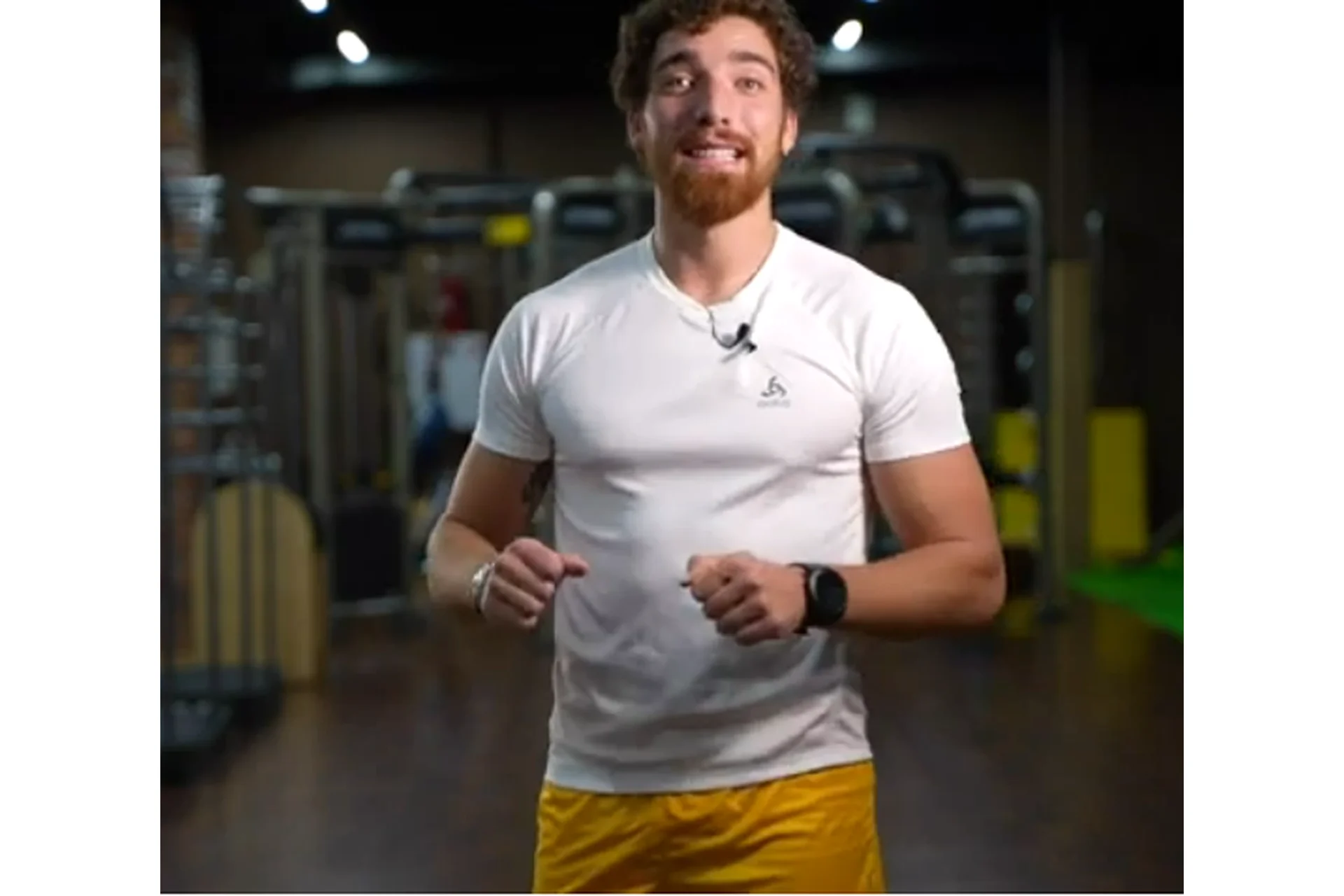 [velogera] TRX. Подвесные системы (Георгий Ёлгин), фото 1 из 1.