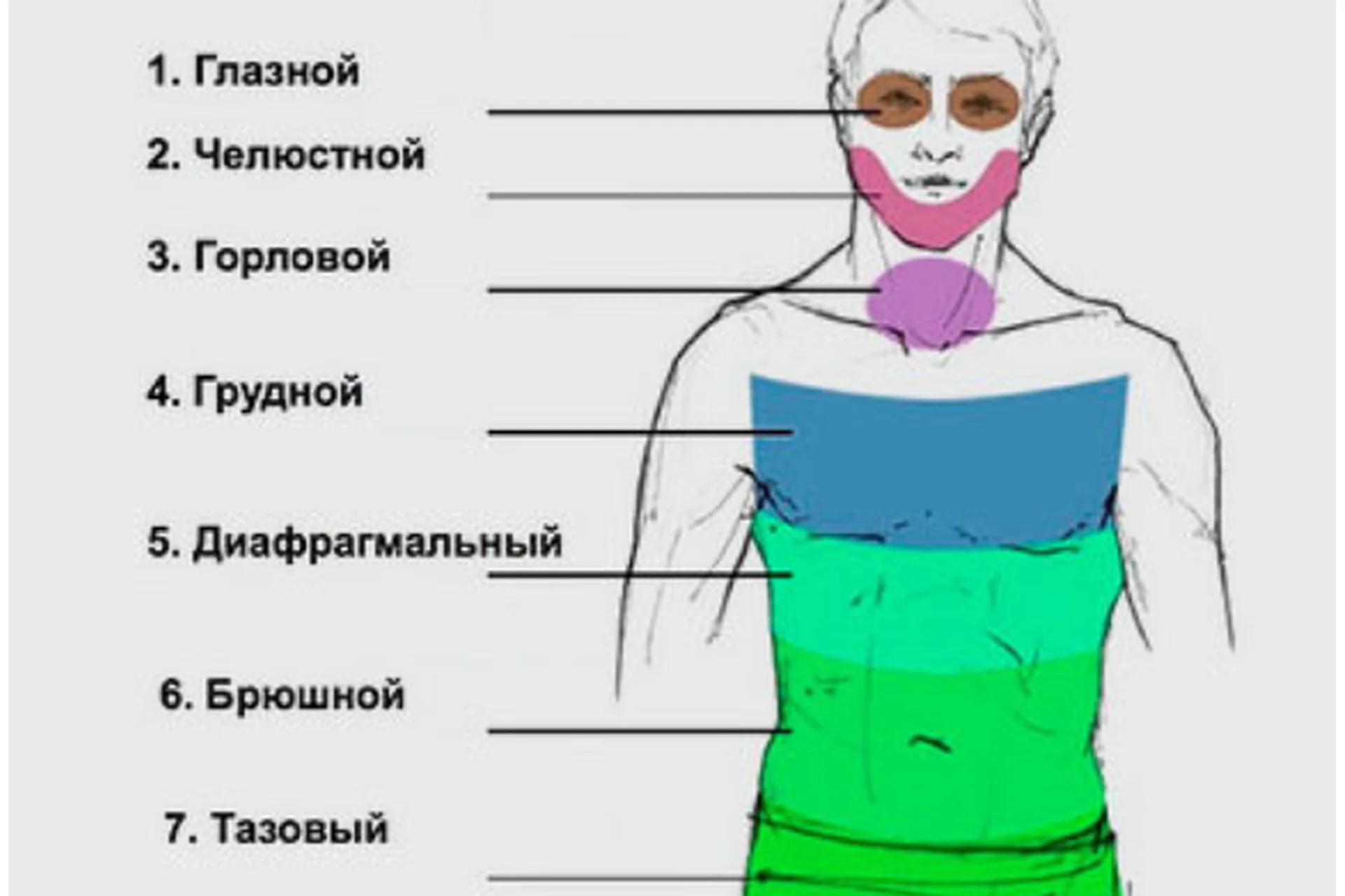 [Arcanum] Психосоматика: Путь к свободе тела (Алексей Юрков), фото 1 из 1.