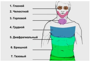 [Arcanum] Психосоматика: Путь к свободе тела (Алексей Юрков)