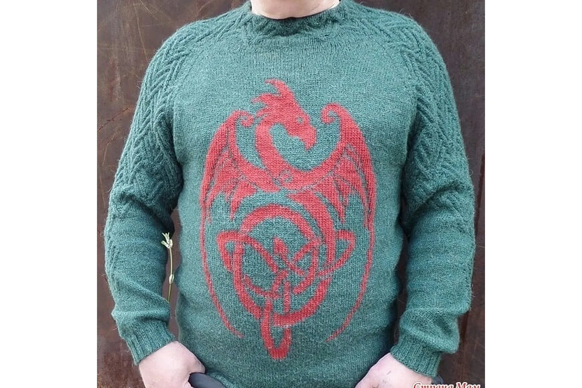 Мужской свитшот «Dragon». Размеры 46-58 (Ольга Мотриченко), фото 1 из 1.