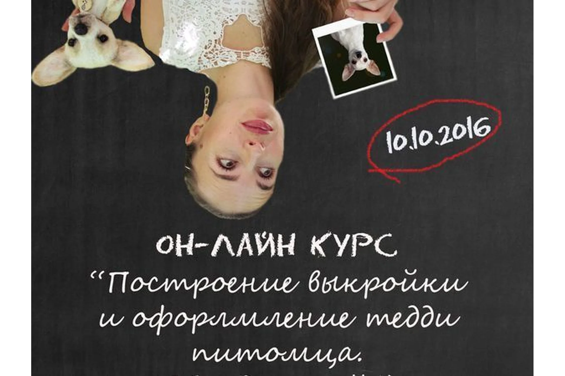 Построение выкройки и оформление тедди-питомца (Екатерина Макогон), фото 1 из 1.