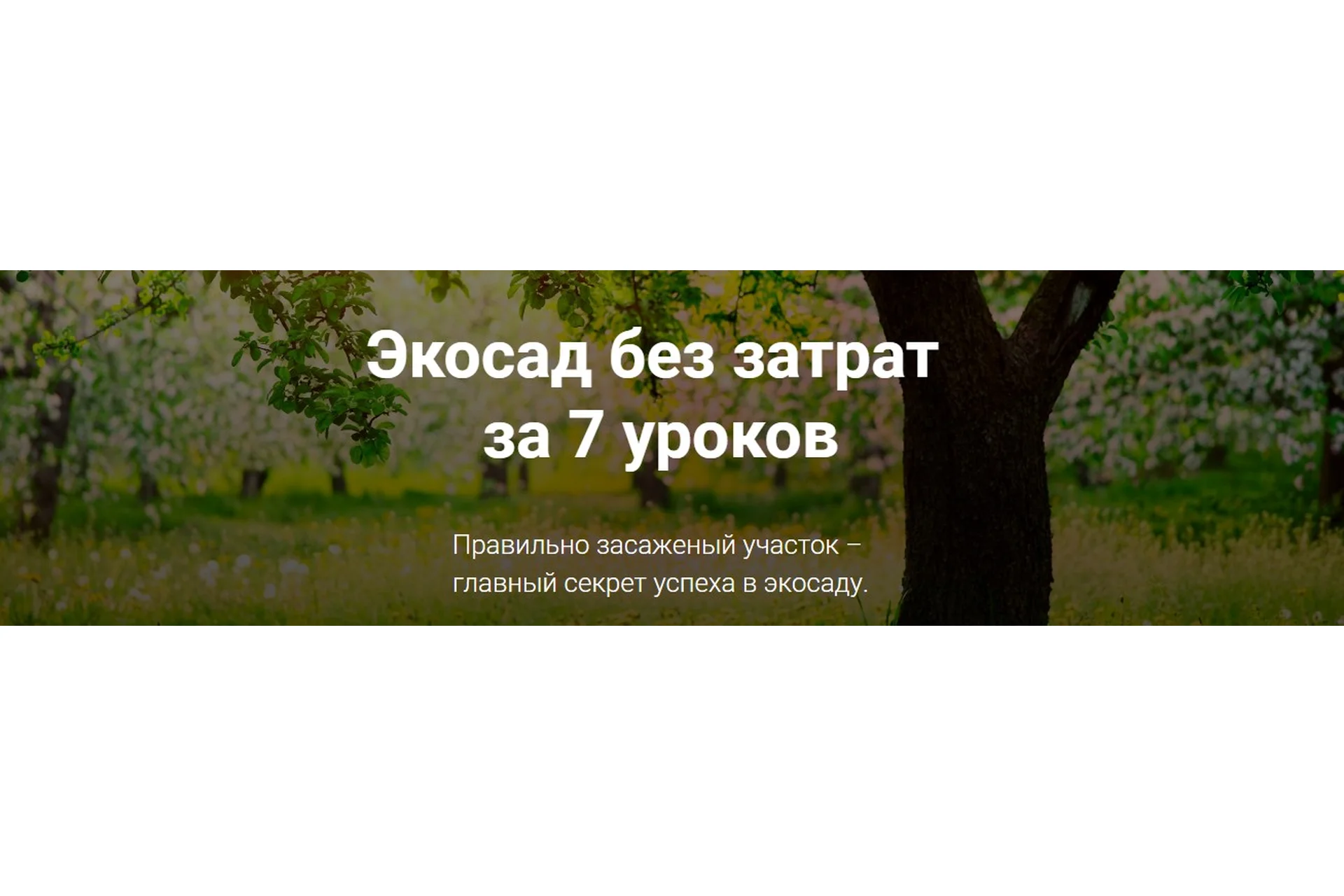 Экосад без затрат  за 7 уроков, 2017 (Мария Газнюк), фото 1 из 1.