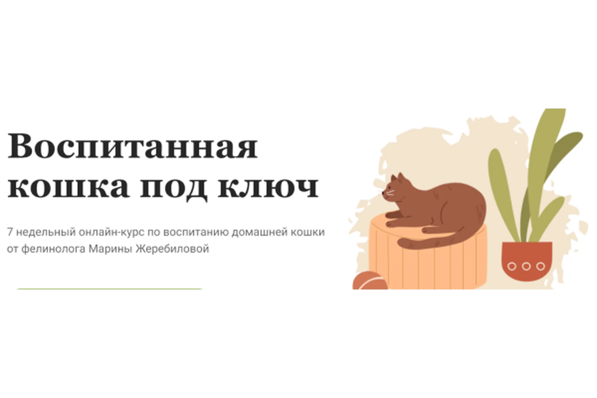 Воспитанная кошка под ключ. Тариф Самостоятельный (Марина Жеребилова), фото 1 из 1.