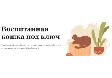 Воспитанная кошка под ключ. Тариф Самостоятельный (Марина Жеребилова)
