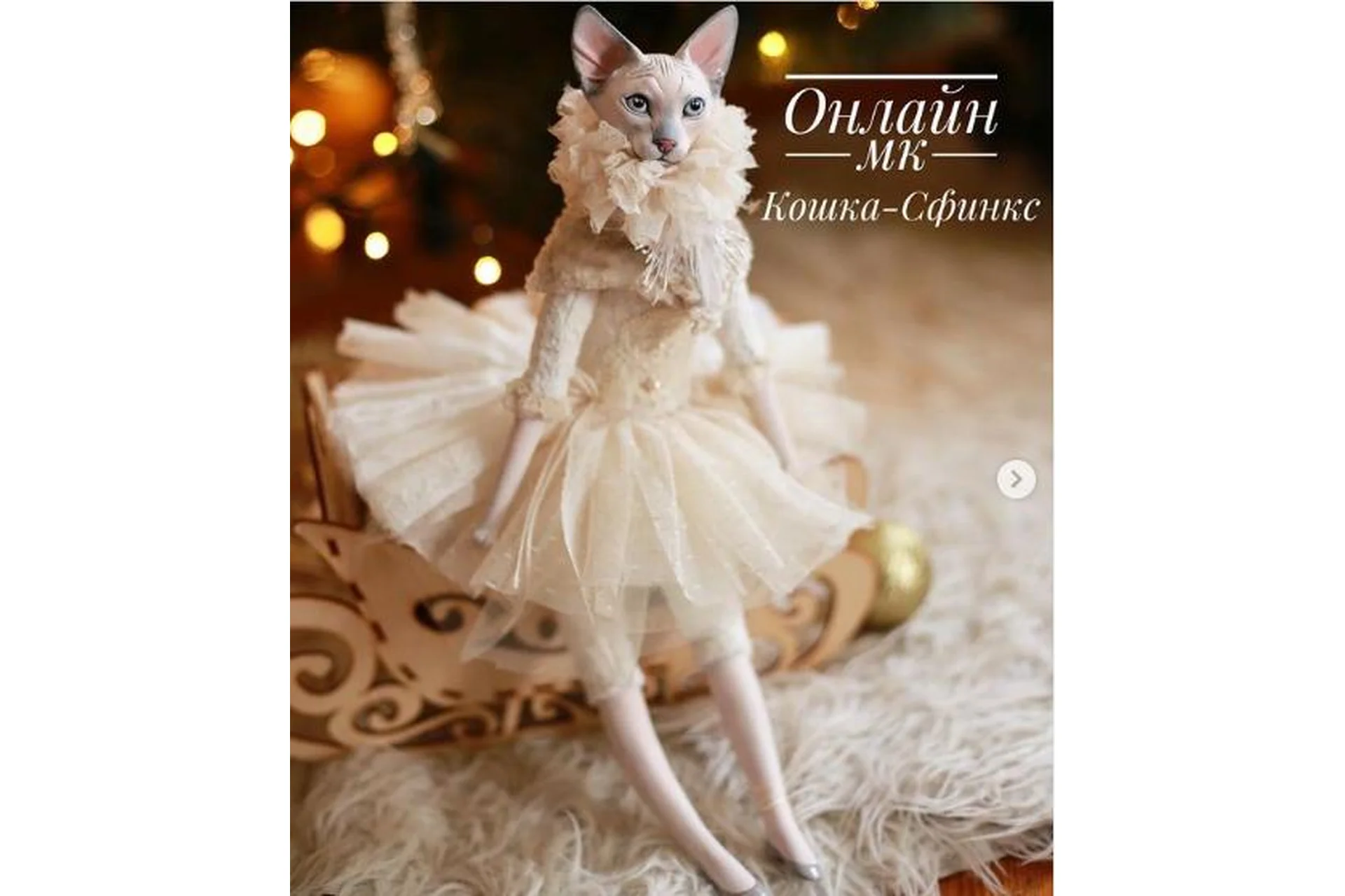 Кошка-Сфинкс (Маша Володина), фото 1 из 1.