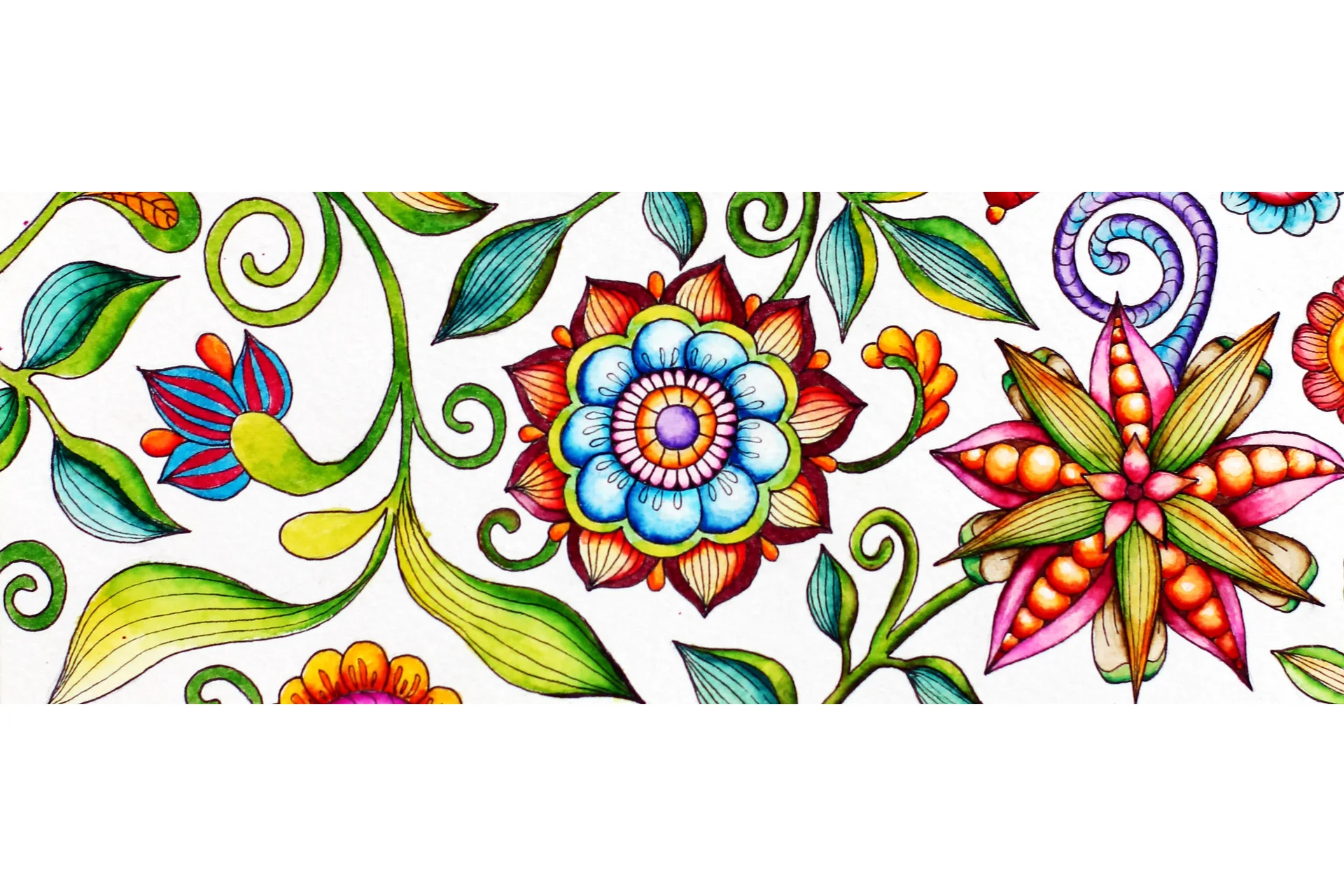 Zendoodle цветы. 4 группа (Мария Василисина), фото 1 из 1.