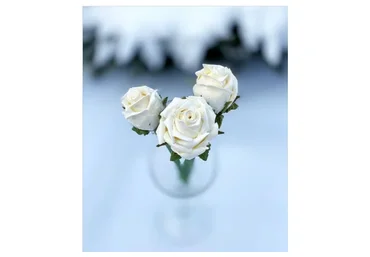 Розы из безе (elenapo11)