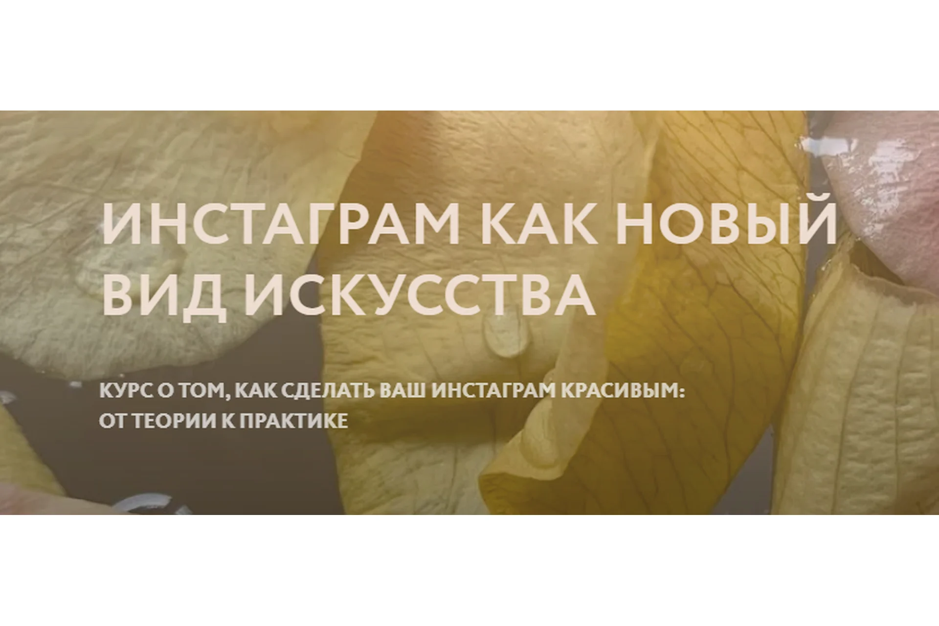 Инстаграм как новый вид  искусства. Тариф Эконом (Полина Дзенис), фото 1 из 1.