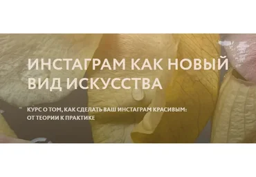 Инстаграм как новый вид  искусства. Тариф Эконом (Полина Дзенис)