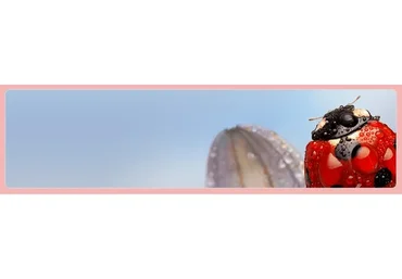 Интро в Алхимию тела  (Yulia Skyfox)