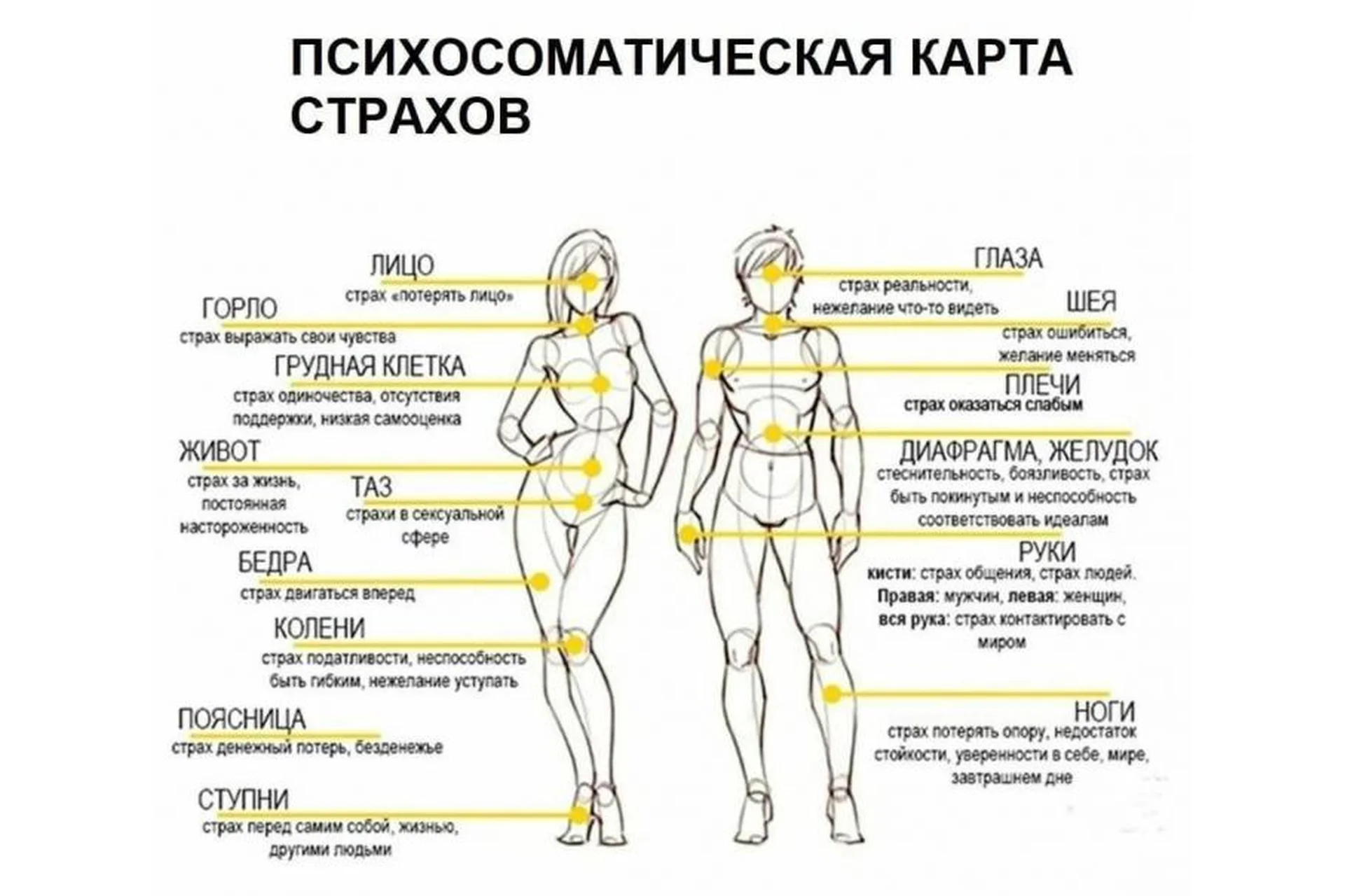 [AST-production] Проработка по психосоматической карте страхов, фото 1 из 1.