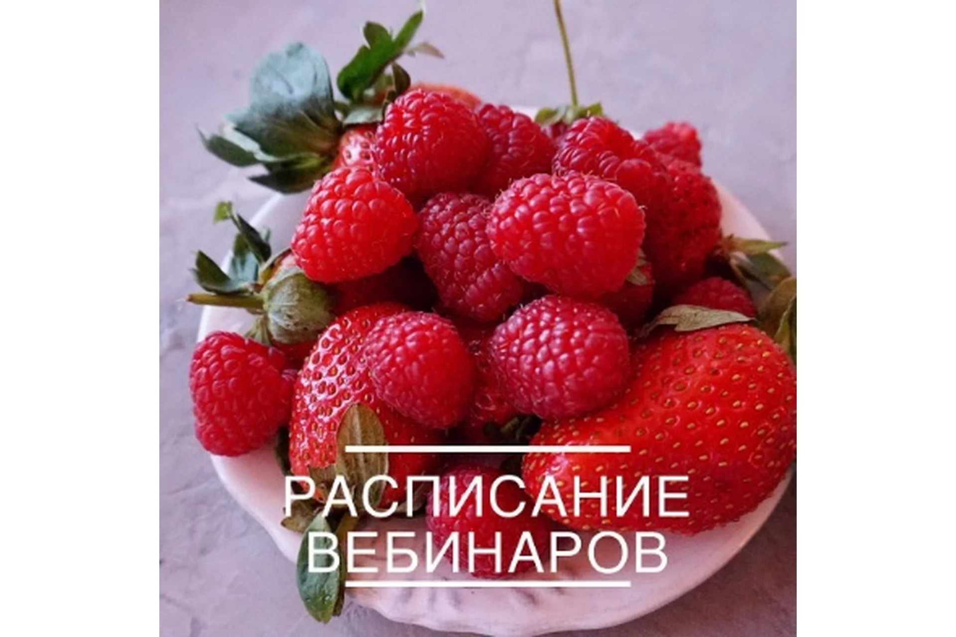 [veryirresistible18] Фруктовые начинки для макарон с Valrhona  (Анна Томильчик), фото 1 из 1.