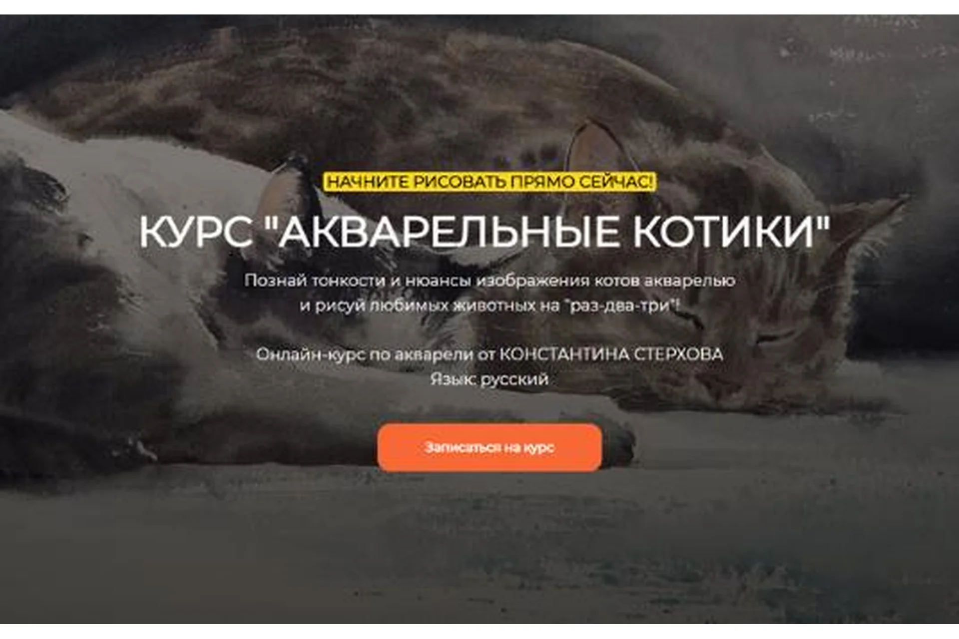 [Артефакто] Акварельные котики. Тариф Стандарт (Константин Стерхов), фото 1 из 1.