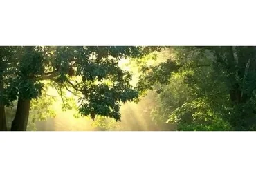 [Дао-сфера] Метафизика Здоровья. Тариф «Золото» (Дмитрий Лаптев)