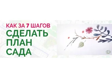 Как за 7 шагов сделать план красивого сада