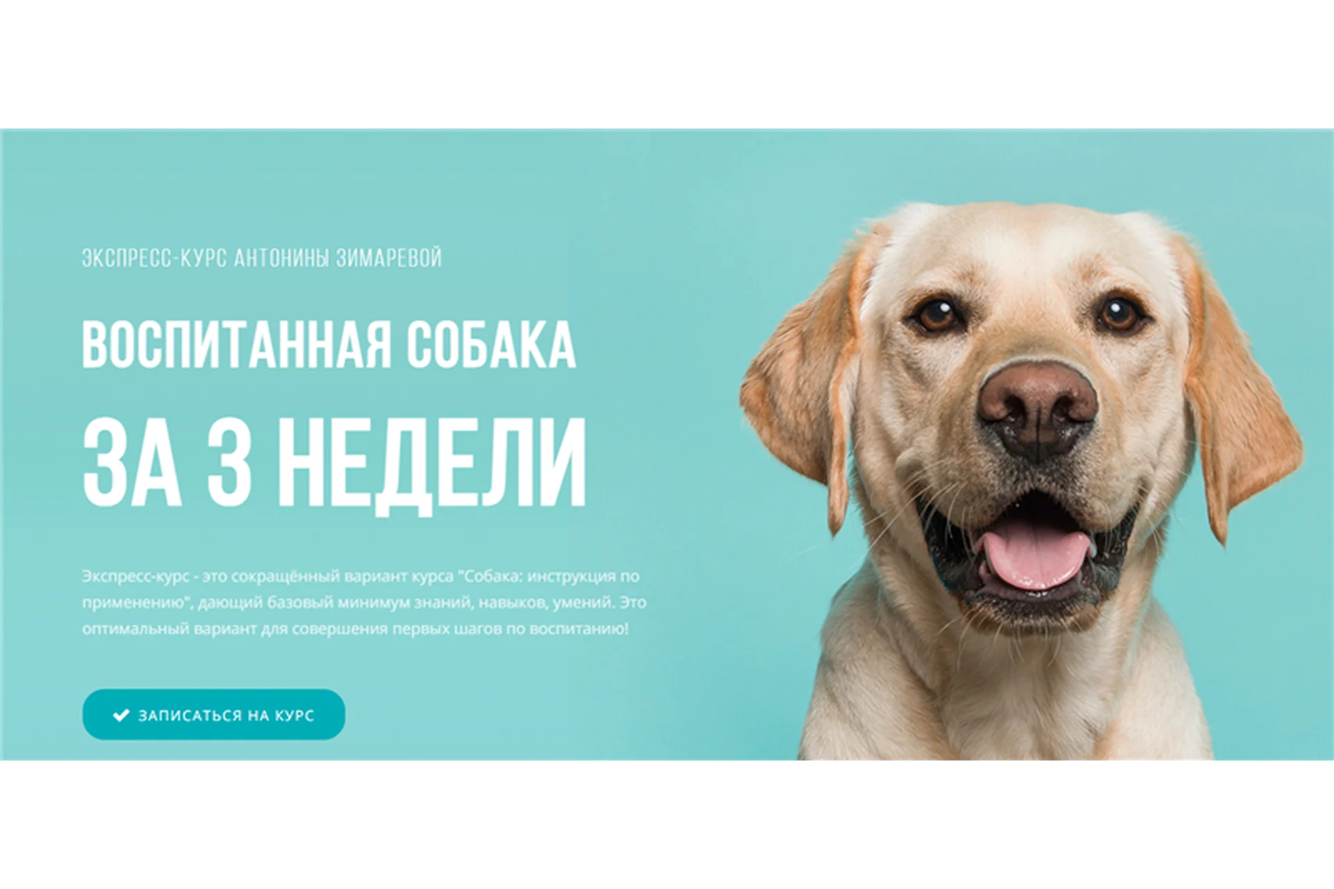 [Kinolog School] Воспитанная собака за 3 недели. Тариф - Самостоятельный (Антонина Зимарева), фото 1 из 1.