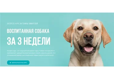 [Kinolog School] Воспитанная собака за 3 недели. Тариф - Самостоятельный (Антонина Зимарева)
