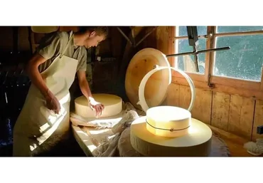 [Cheese Lab] Онлайн-школа сыроделия, 2019 (Светлана Ивлева)